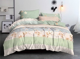 КПБ евро поплин Люксор <2755 A/B>